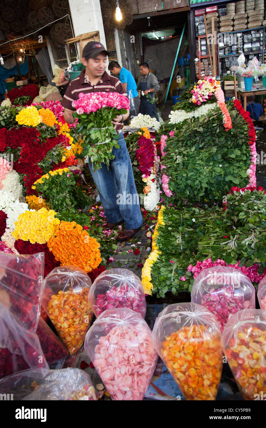 Le Rose in Giamaica Mercato in Colonia in Giamaica a Venustiano Carranza borough di Città del Messico Foto Stock