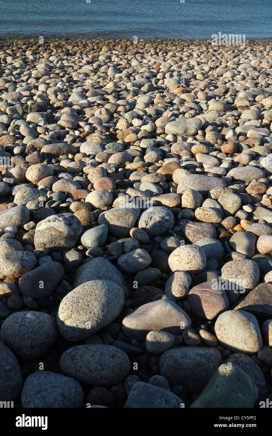 Rocce sulla spiaggia, Cape Cod, Massachusetts Foto Stock