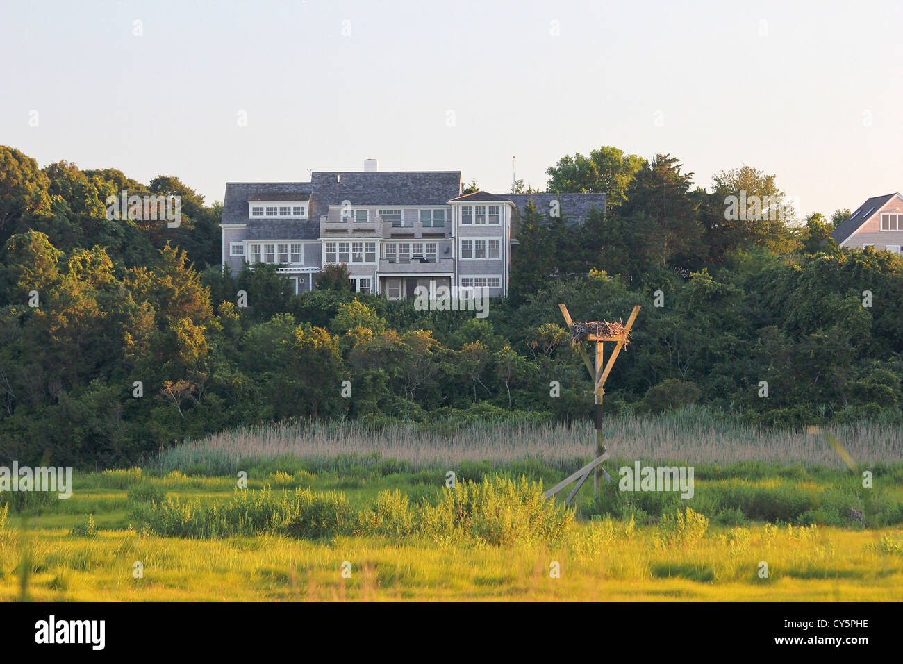 Un nido Osprey sulla Palude e una grande casa incastrata, vicino sabbiosa spiaggia di collo, Cape Cod, Massachusetts, Stati Uniti Foto Stock