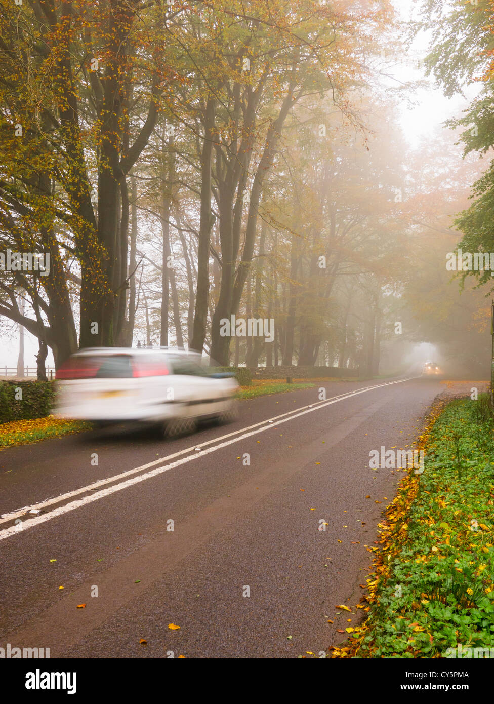 Un automobile che viaggia lungo un foggy country road. Foto Stock