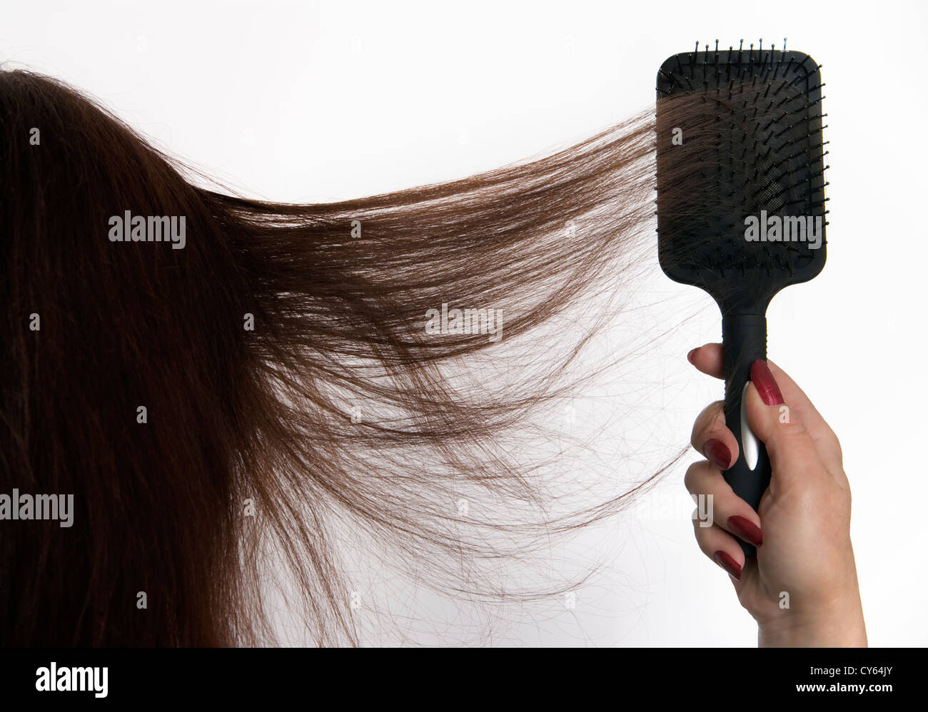 La spazzolatura donna lunghi capelli scuri con spazzola per capelli, vista posteriore Foto Stock