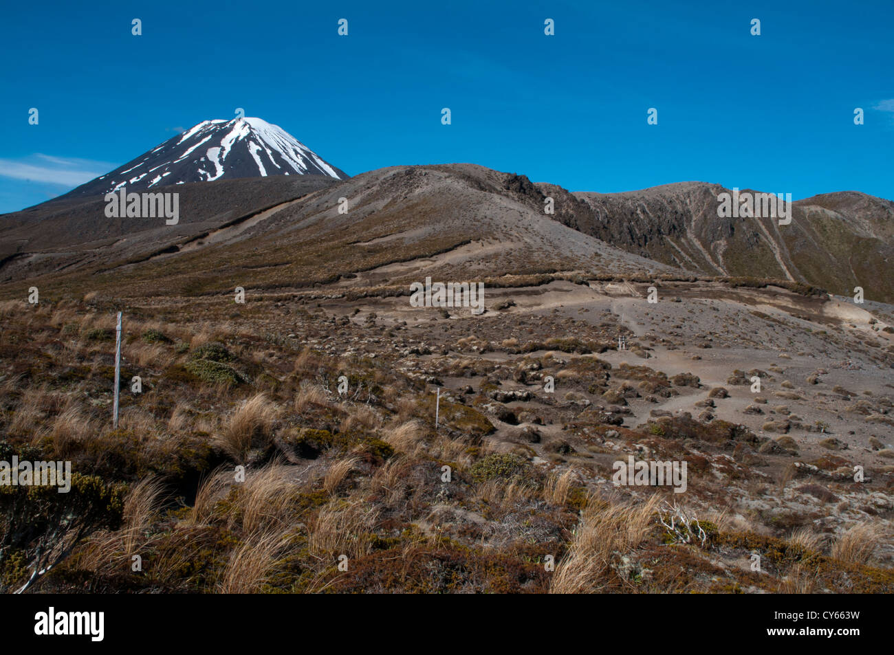 Imponente Ngauruhoe stratovulcano è il più giovane dei vulcani attivi nel Parco Nazionale di Tongariro. Il suo orlo del cratere è 2291 m. Foto Stock