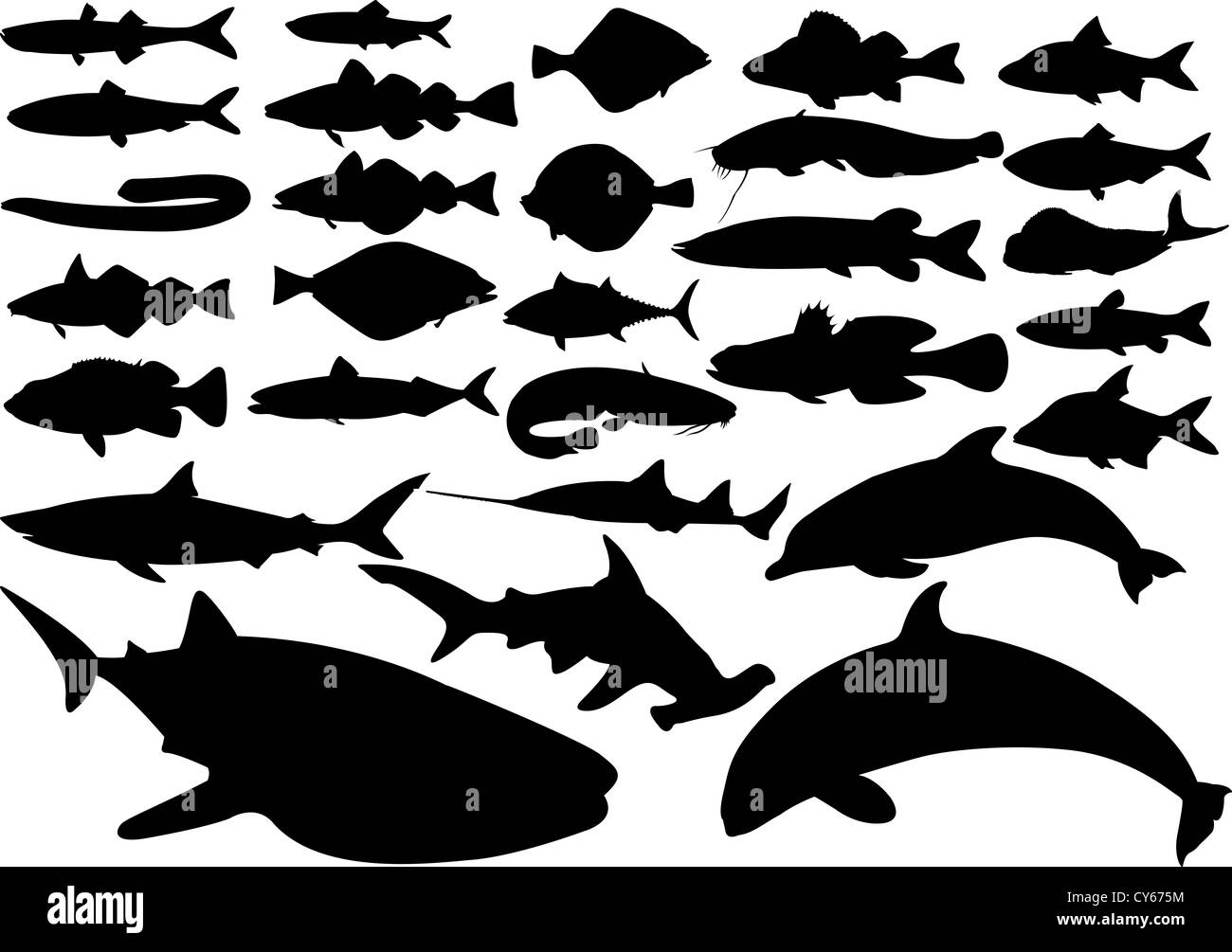 Insieme di pesce Foto Stock