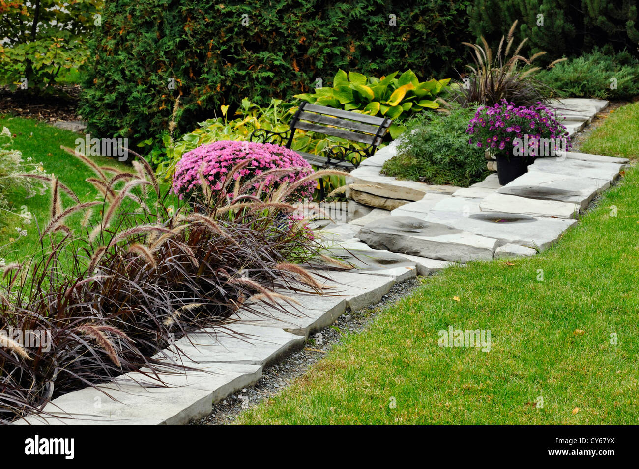 Un muro di pietra con incapsulate in tarda estate mamme, maggiore Sudbury, Ontario, Canada Foto Stock