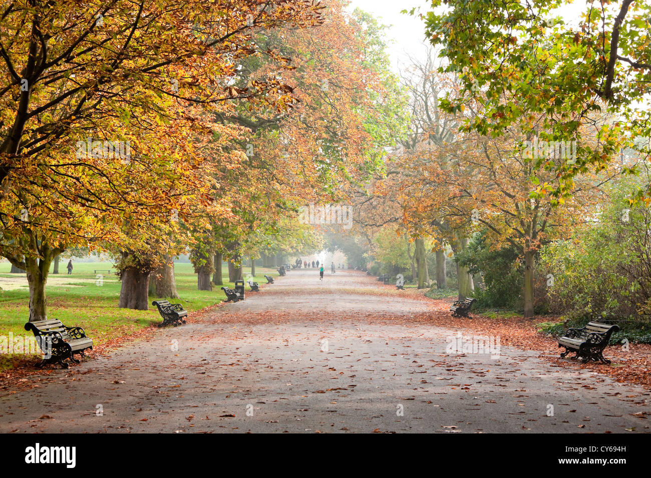 Regent's Park in autunno, London, England, Regno Unito Foto Stock