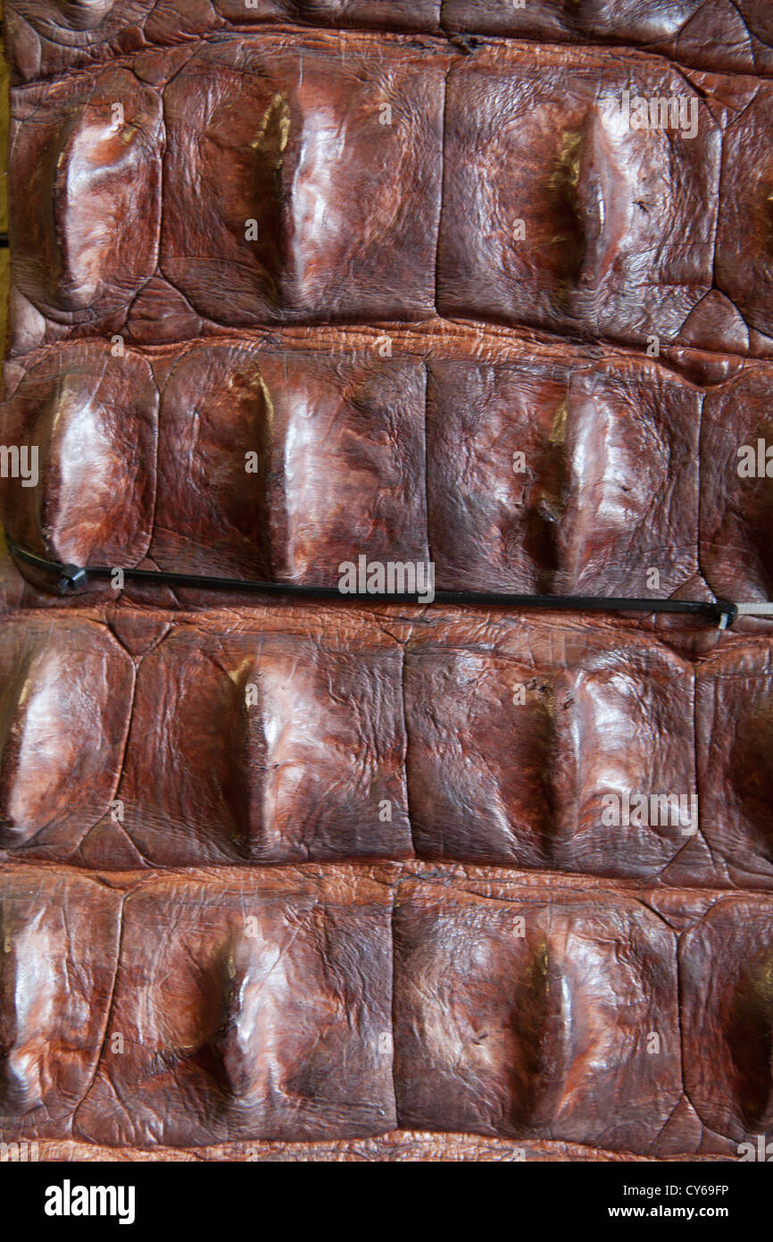 Pelle di coccodrillo di pelle per vendita in Darwin. Le pelli possono recuperare i prezzi di $20.000 Foto Stock