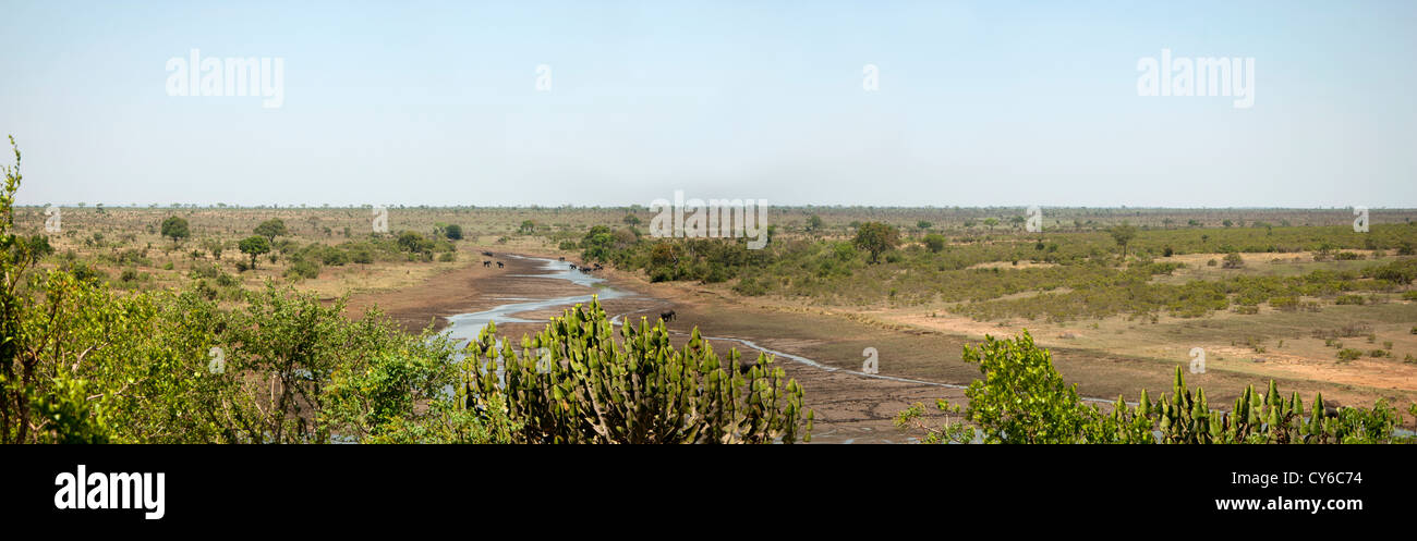 Vista panoramica del Fiume Sabie con elefanti nel Parco di Kruger, Sud Africa. Foto Stock