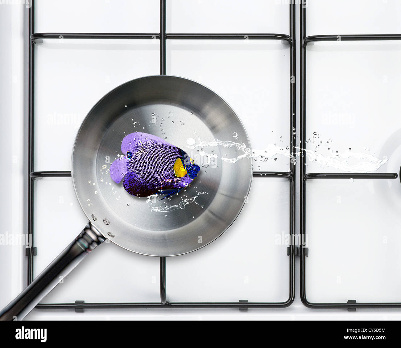 Padella e fresche pesci angelo con spruzzi d'acqua. Foto Stock