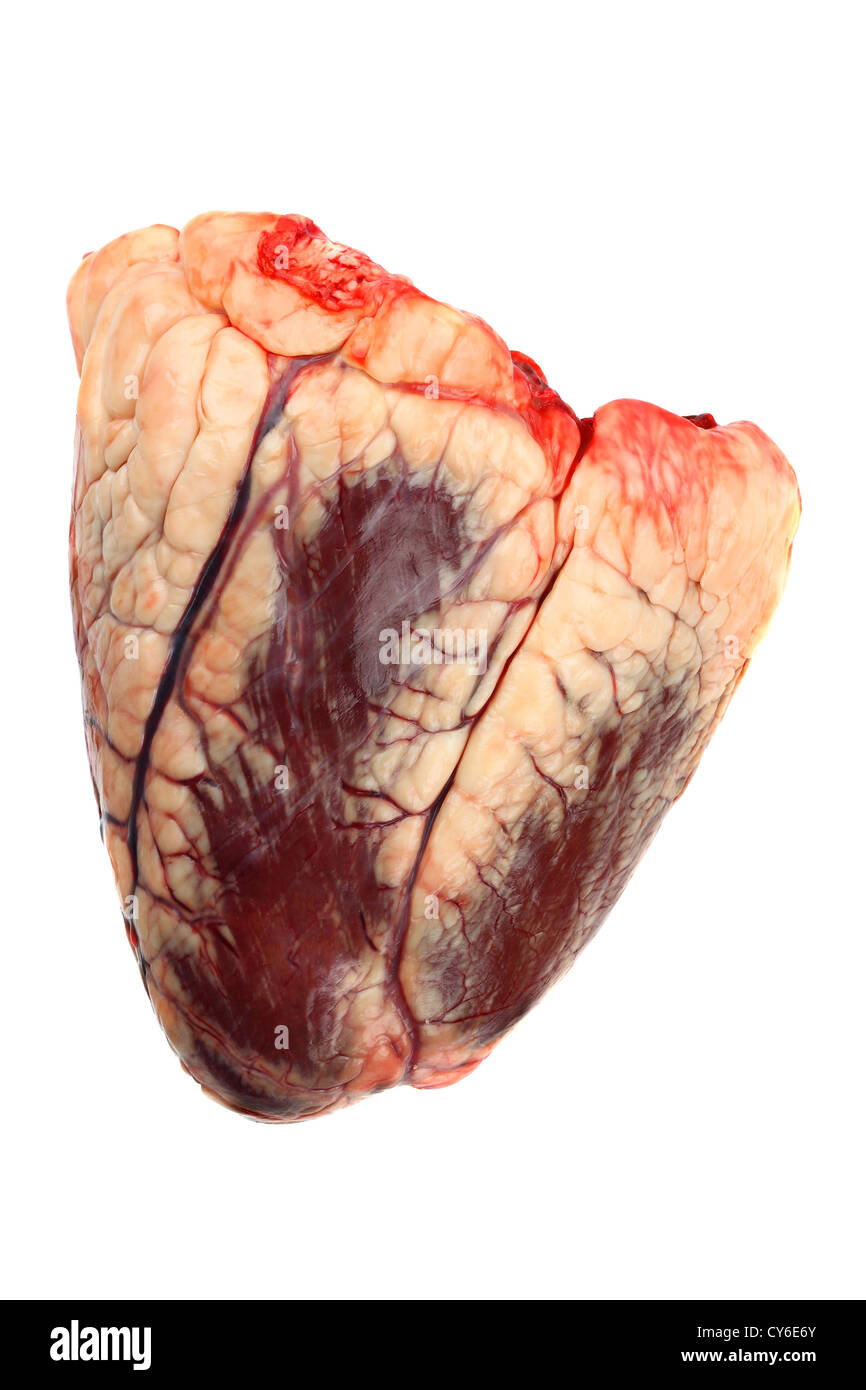 Carne di manzo crudo cuore isolato su bianco Foto Stock