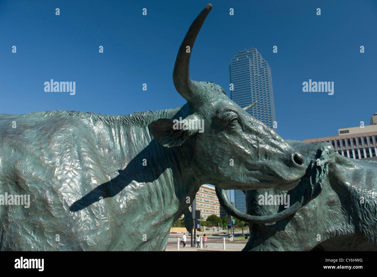 TEXAS LONGHORN SHAWNEE TRAIL Cattle Drive Sculpture (©ROBERT estati 1994) PIONEER PLAZA Downtown Dallas Texas USA Foto Stock