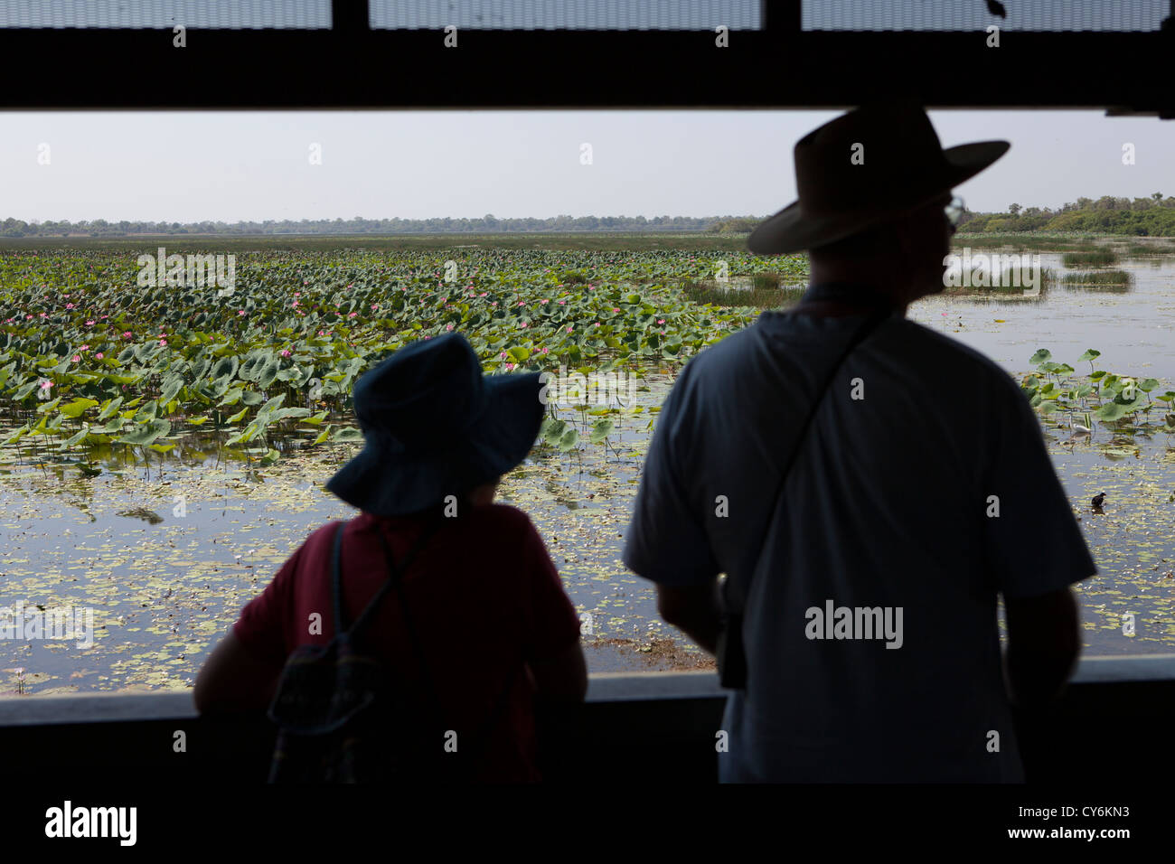 Studio turistico la vista a Mamukala zone umide nel Parco Nazionale Kakadu, Territorio del Nord, l'Australia. Foto Stock