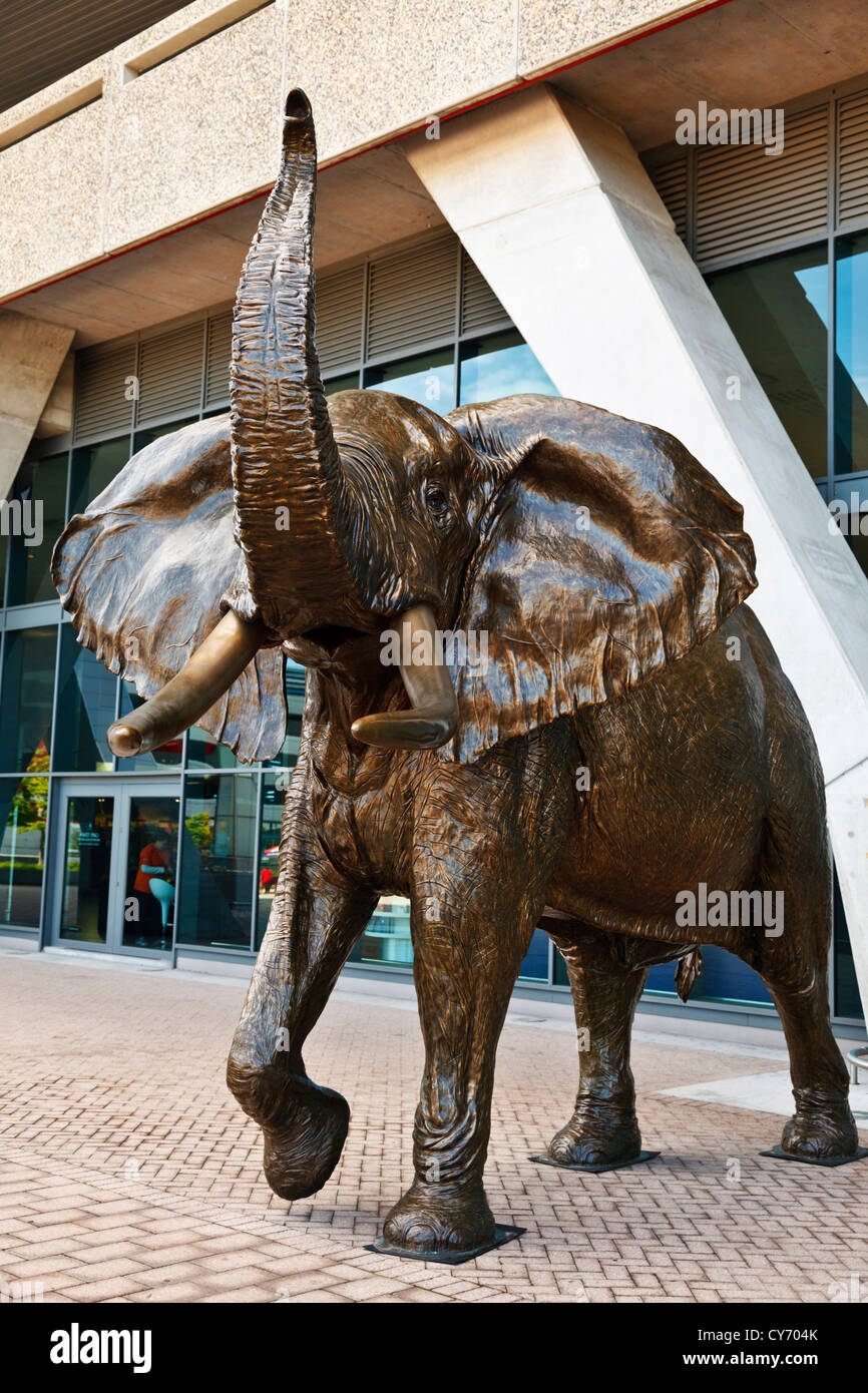 Una dimensione di vita elefante in bronzo scultura di Bull è sul display  all'Aeroporto Internazionale di Città del Capo Sud Africa Foto stock - Alamy