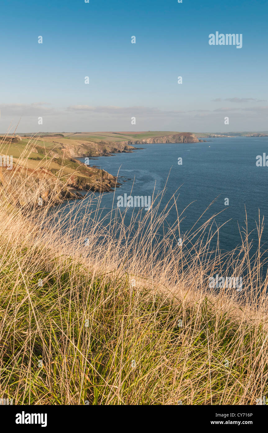 Una vista dal South Devon sentiero costiero su una tarda sera d'estate. Foto Stock