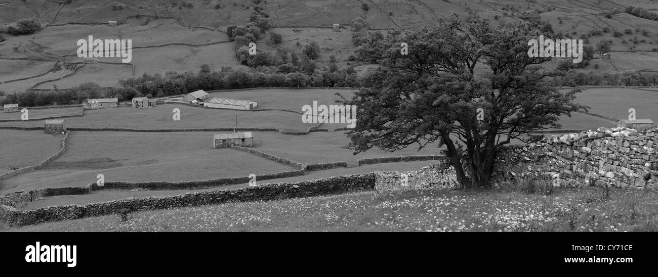 Immagine in bianco e nero in pietra panoramico fienili, prati fioriti, Gunnerside village, Swaledale; Yorkshire Dales National Park, Engla Foto Stock