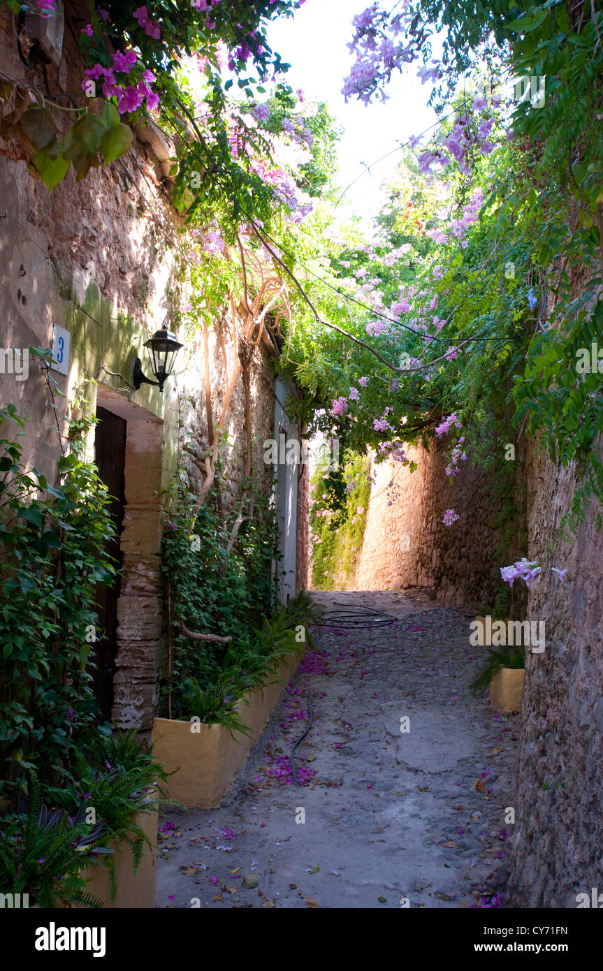 Vecchia strada stretta nella città spagnola di Ibiza. Foto Stock