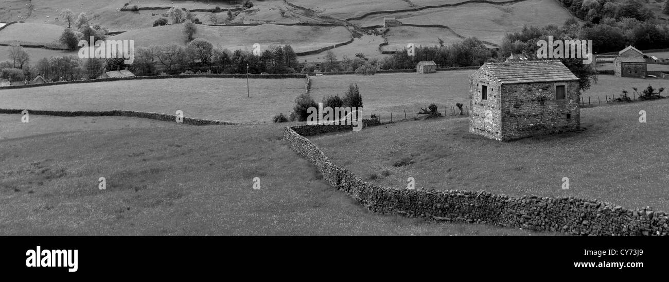 Immagine in bianco e nero in pietra panoramico fienili, prati fioriti, Muker village, Swaledale; Yorkshire Dales National Park, Inghilterra Foto Stock