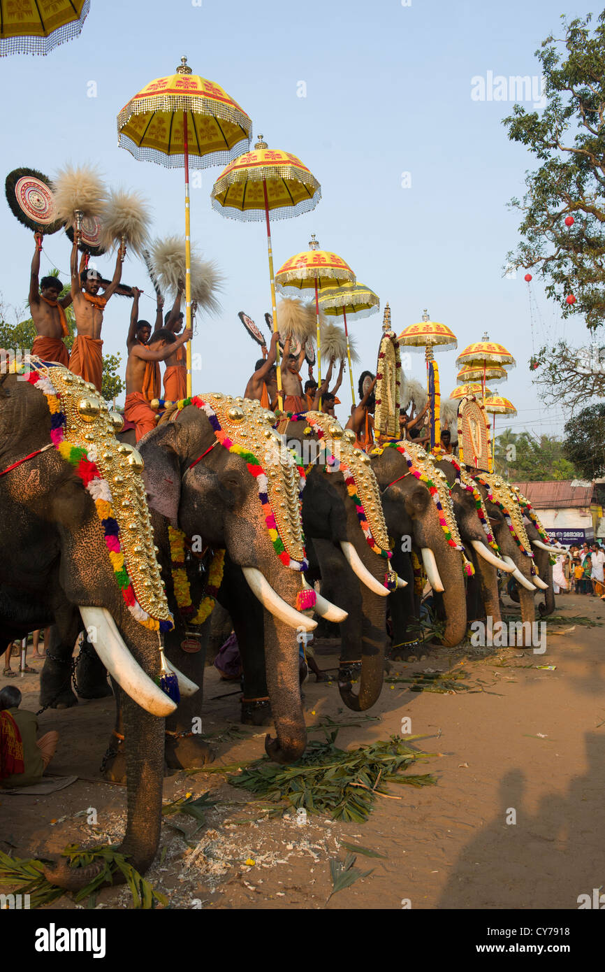 Gli elefanti Caparisoned indossando golden Nettipattam cavalcato da sacerdoti holding Muthukuda ombrelloni e accompagna Venchamaram presso il Tempio Goureeswara Festival, Cherai, vicino a Kochi (Cochin), Kerala, India Foto Stock