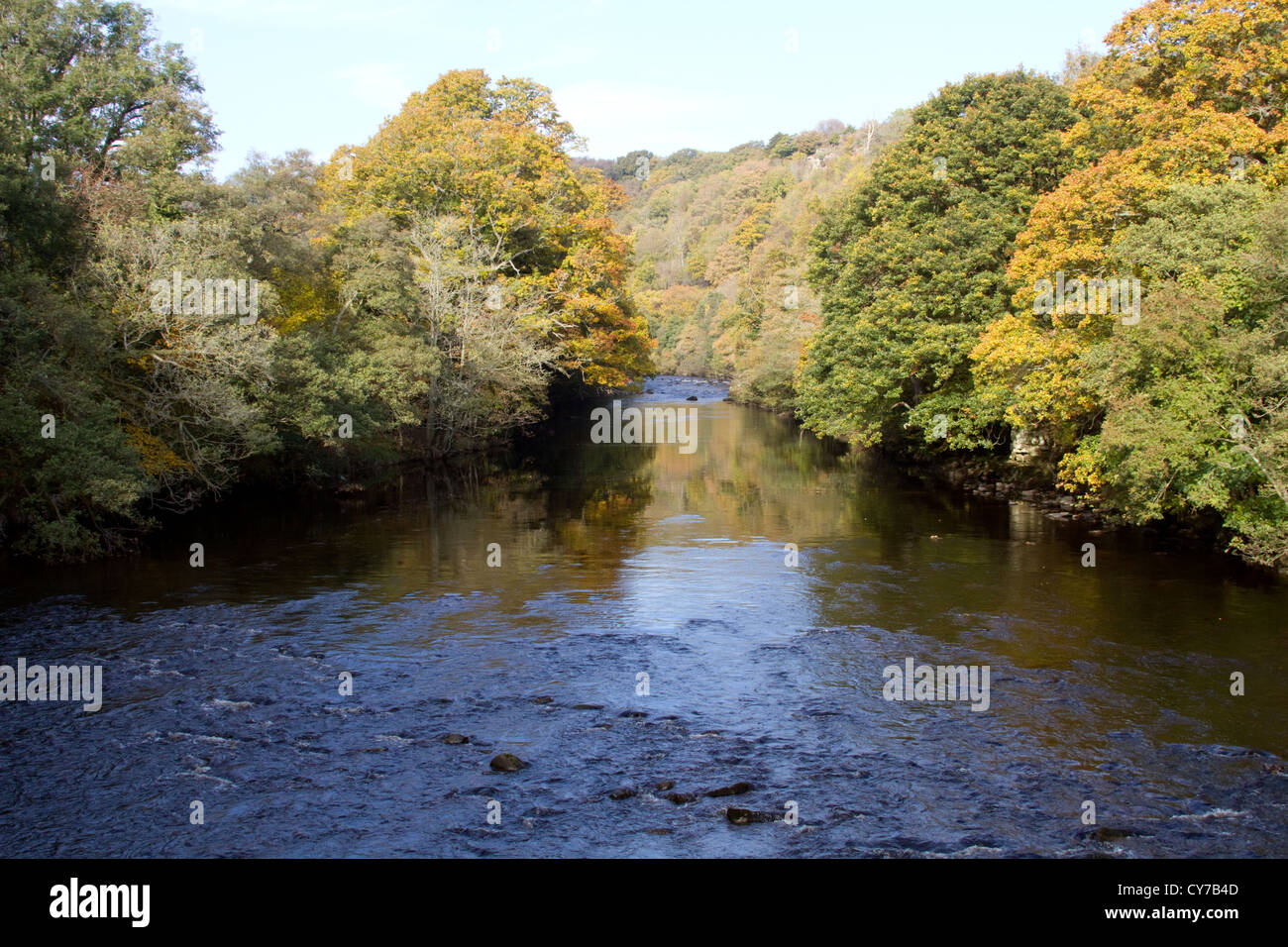 Colore di autunno sul Fiume Tees Foto Stock