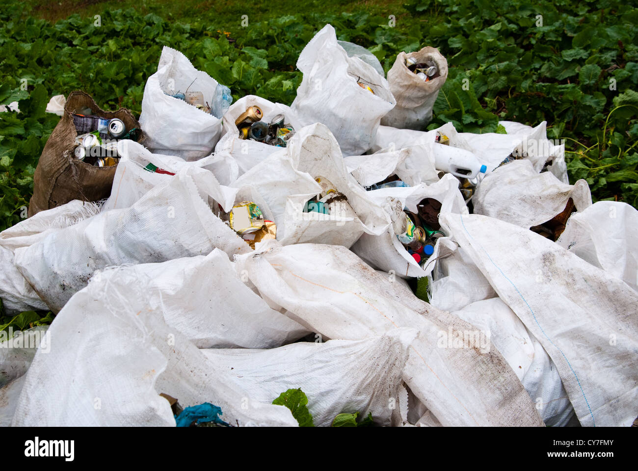 Borsa piena di barbage in un camaign ecologico Foto Stock