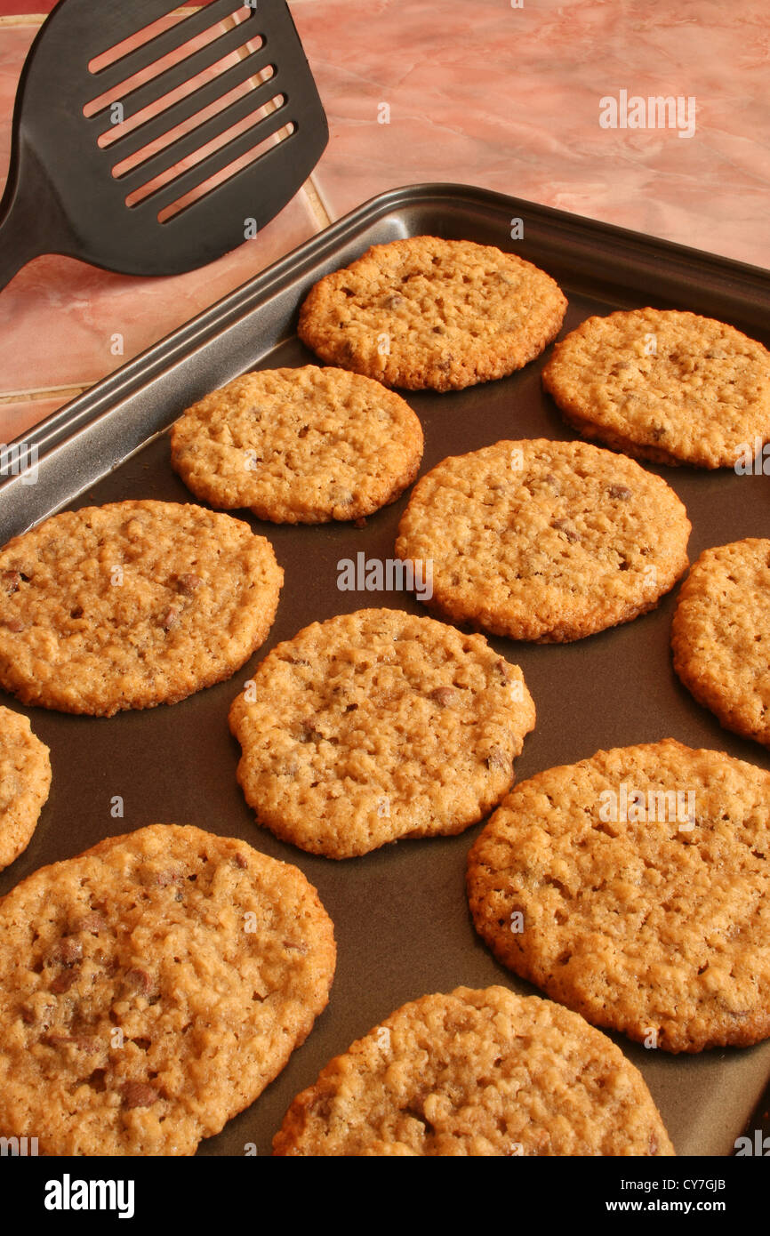 Freschi di forno caldo, biscotti con scaglie di cioccolato su un piatto con una spatola Foto Stock