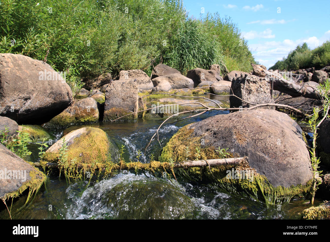 Rapido flusso del fiume tra la pietra Foto Stock