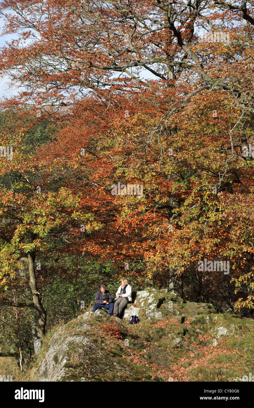 Giovane seduto sulla rupe di colori autunnali Grasmere, Lake District inglese, REGNO UNITO Foto Stock