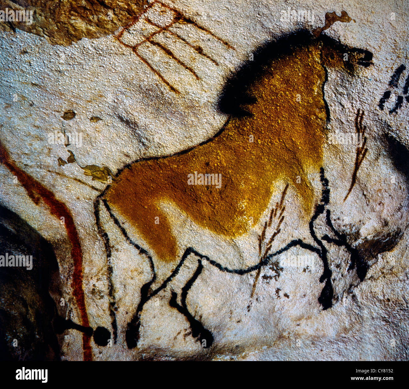 Pittura rupestre di cavallo cinese, Lascaux, Francia Foto Stock