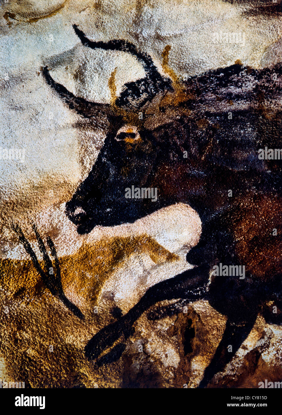 Pittura rupestre di Black Bull, Lascaux, Francia Foto Stock