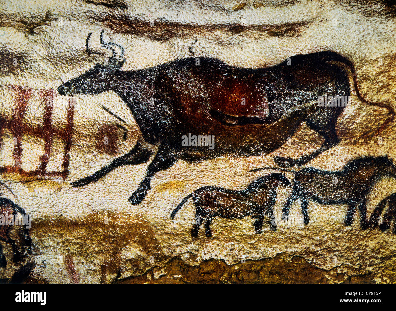 Pittura rupestre di mucca & Cavalli, Lascaux, Francia Foto Stock