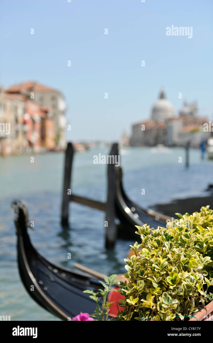 Ormeggiate le gondole veneziane Grand Canal, Venezia, Italia. Foto Stock