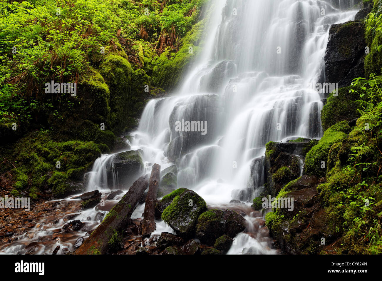 Wahkeena Creek cascading oltre le Fairy Falls, Columbia River Gorge National Scenic Area, Oregon, Stati Uniti d'America Foto Stock