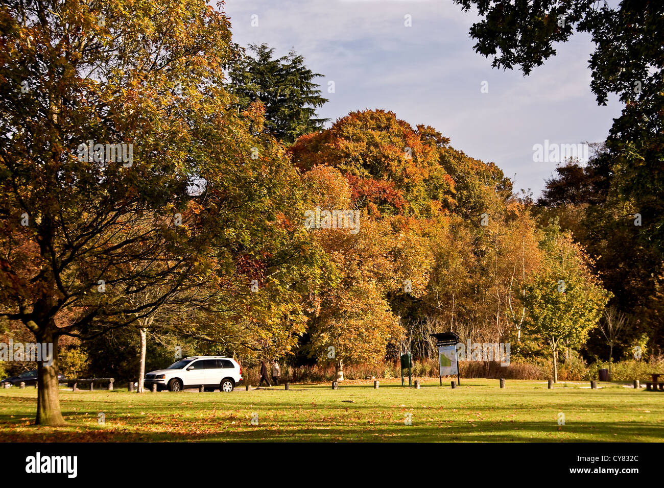 La gente camminare passato il parcheggio auto in autunno sunshine a Camperdown Country Park a Dundee, Regno Unito Foto Stock
