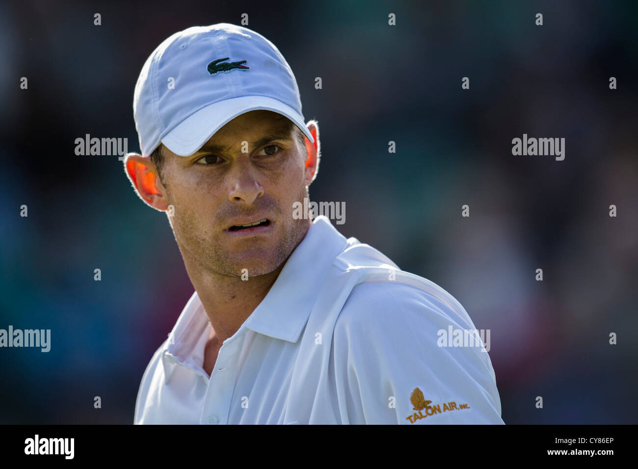 Andy Roddick DI STATI UNITI D'AMERICA. Foto Stock