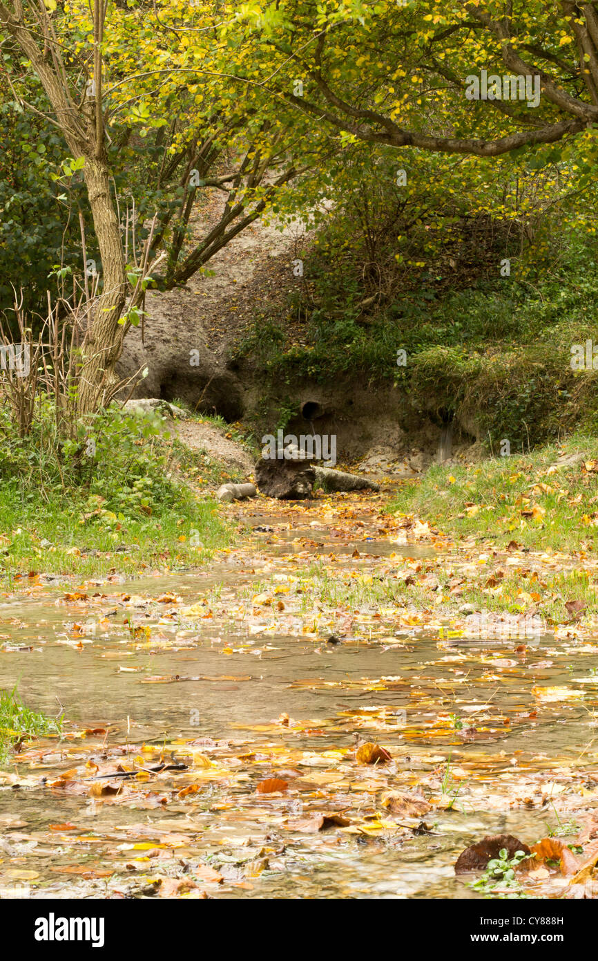 Barton springs Foto Stock