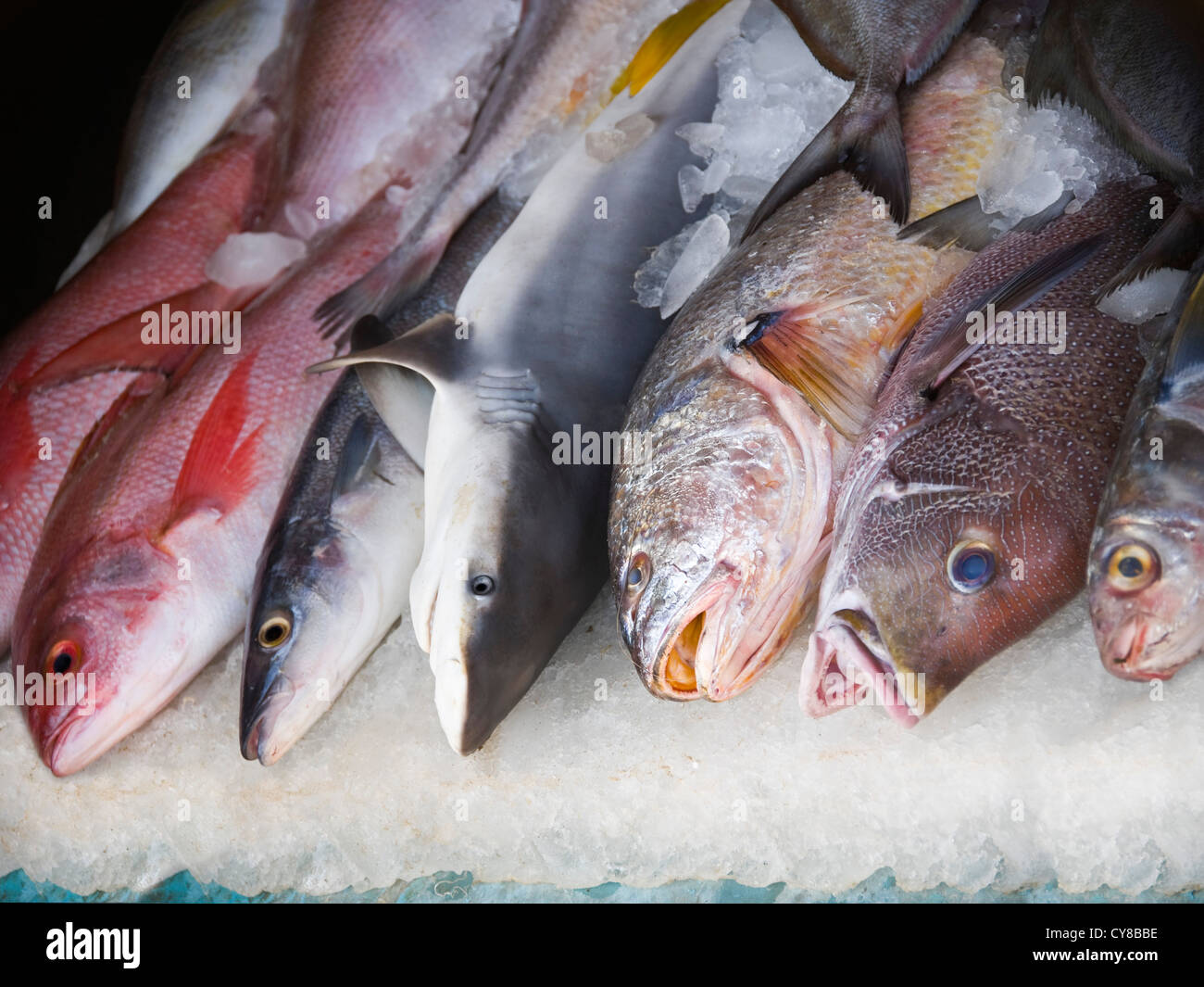 Vista orizzontale di vari tipi di pesce in vendita ad un mercato bagnato in India. Foto Stock