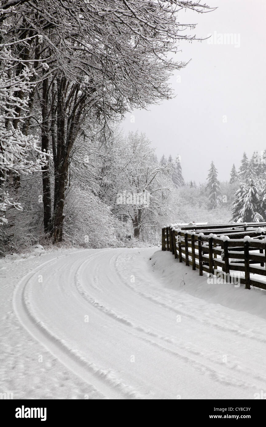 Coperta di neve country road, Snohomish, Washington, Stati Uniti d'America Foto Stock