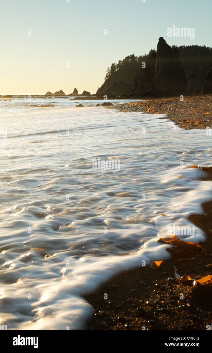 Seafoam laminazione di surf sulla spiaggia, Rialto Beach, Parco Nazionale di Olympic, nello Stato di Washington, USA Foto Stock