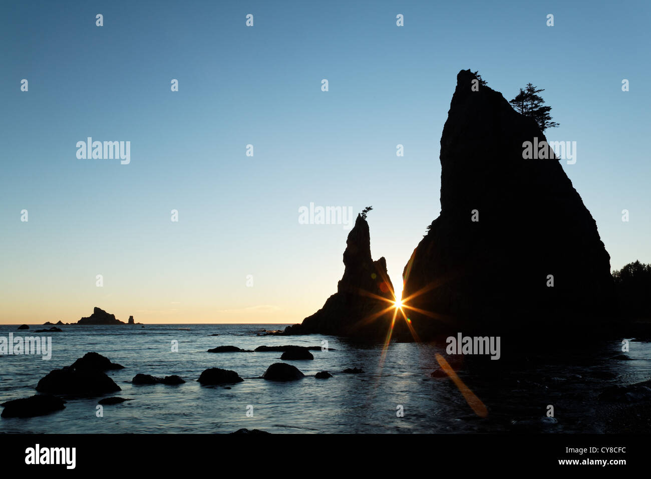 Stack di mare al tramonto, Rialto Beach, Parco Nazionale di Olympic, nello Stato di Washington, USA Foto Stock