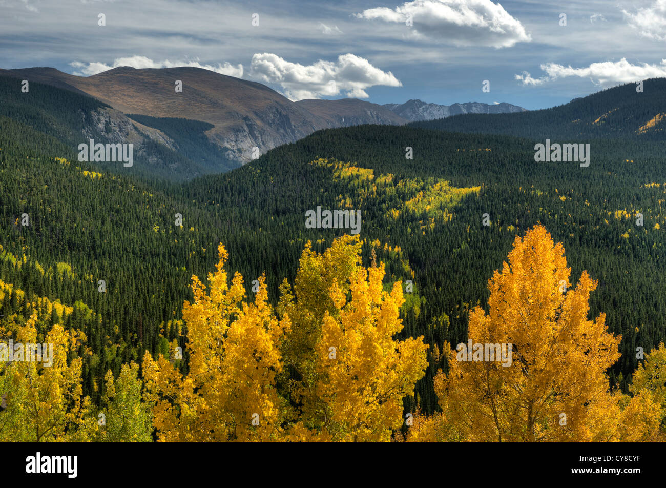 Colorado di 14,264 piedi di Mount Evans come visto dal punto di ponderare area picnic in una bella giornata d'autunno Foto Stock Colorado di 14,264 piedi di Mount Evans come visto dal punto di ponderare area picnic in una bella giornata d'autunno Foto Stock