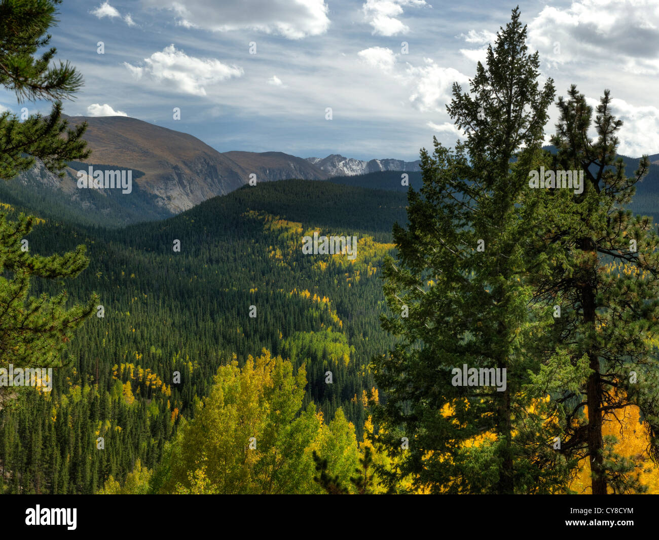 Colorado di 14,264 piedi di Mount Evans come visto dal punto di ponderare area picnic in una bella giornata d'autunno Foto Stock