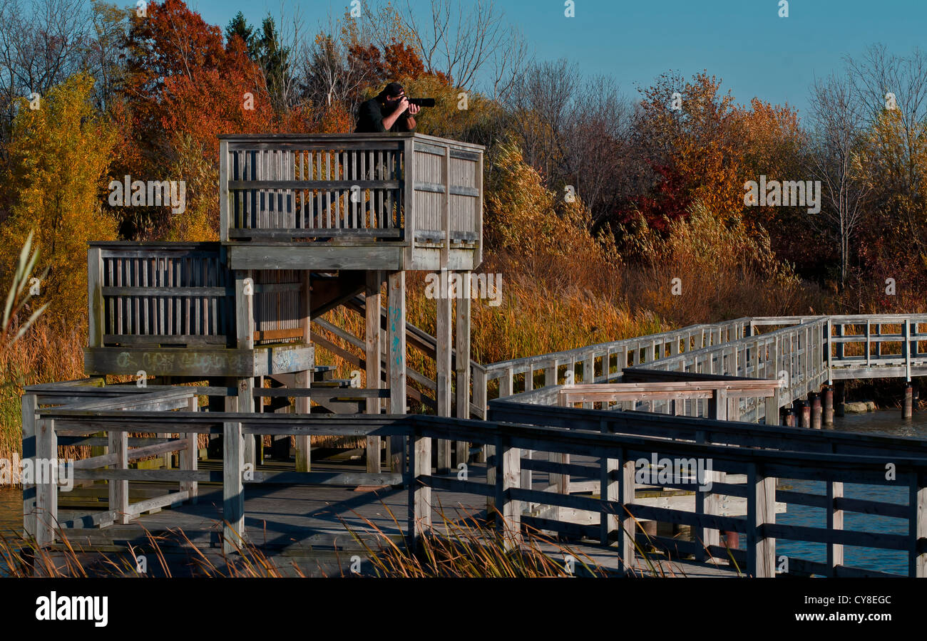 Un fotografo a scattare foto di scenario autunnale a Mel Swart Lago Gibson Area di Conservazione in Thorold, Ontario. Foto Stock