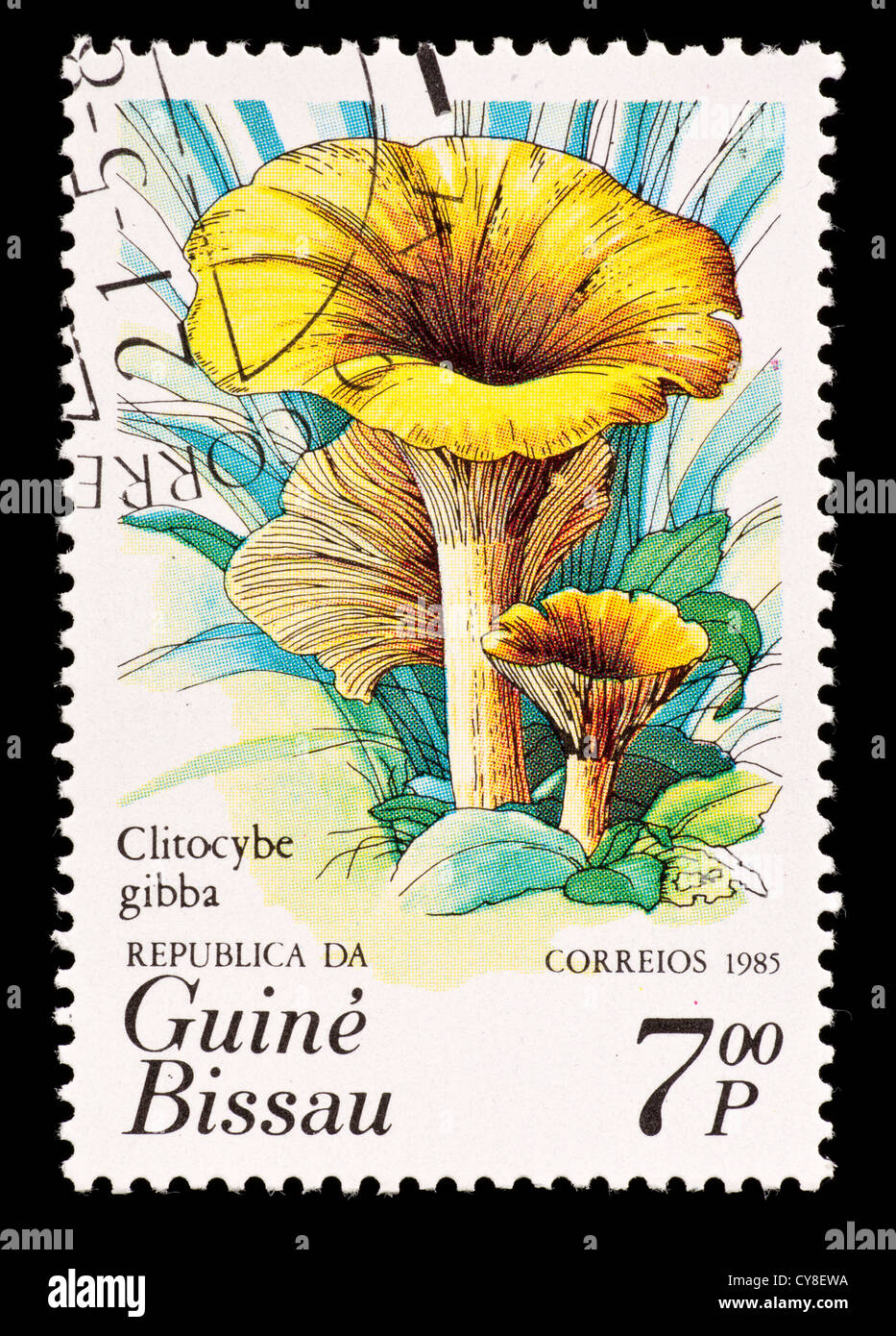 Francobollo da Guinea-Bissua raffigurante un imbuto comune fungo (Clitocybe gibba) Foto Stock