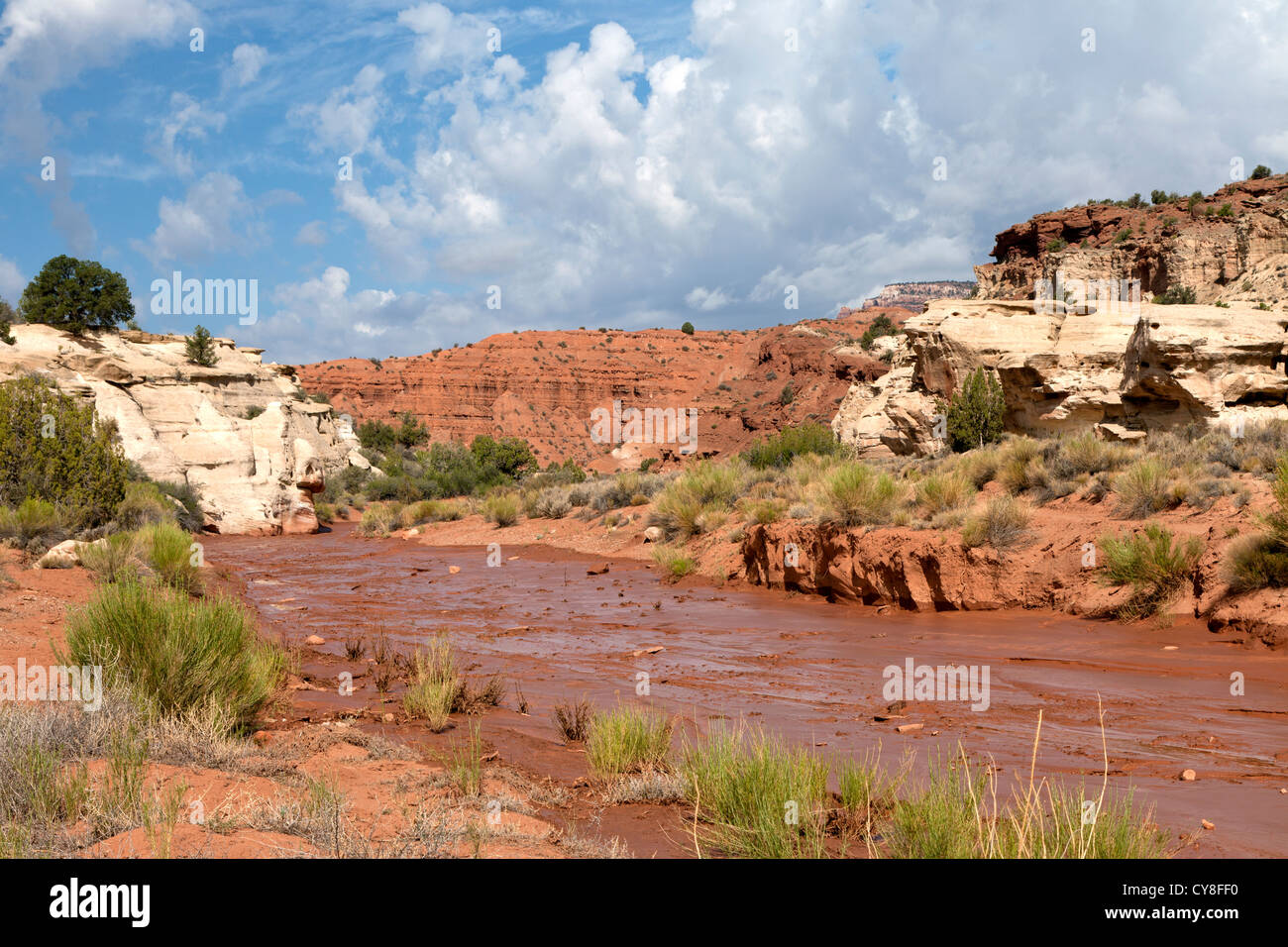 Terreni fangosi streambed attraverso il paria River Valley in a sudovest Utah n Foto Stock