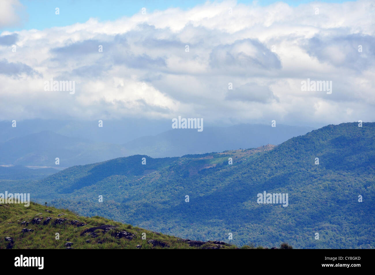Ponmudi Hills Foto Stock