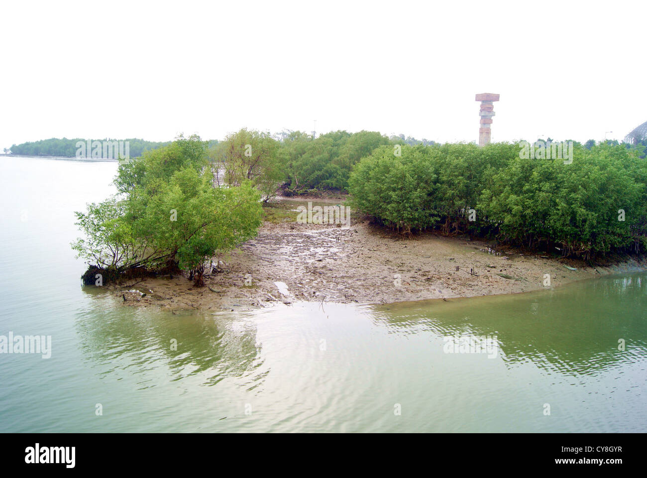 Zona umida, nella Baia di Shenzhen, Cina Foto Stock