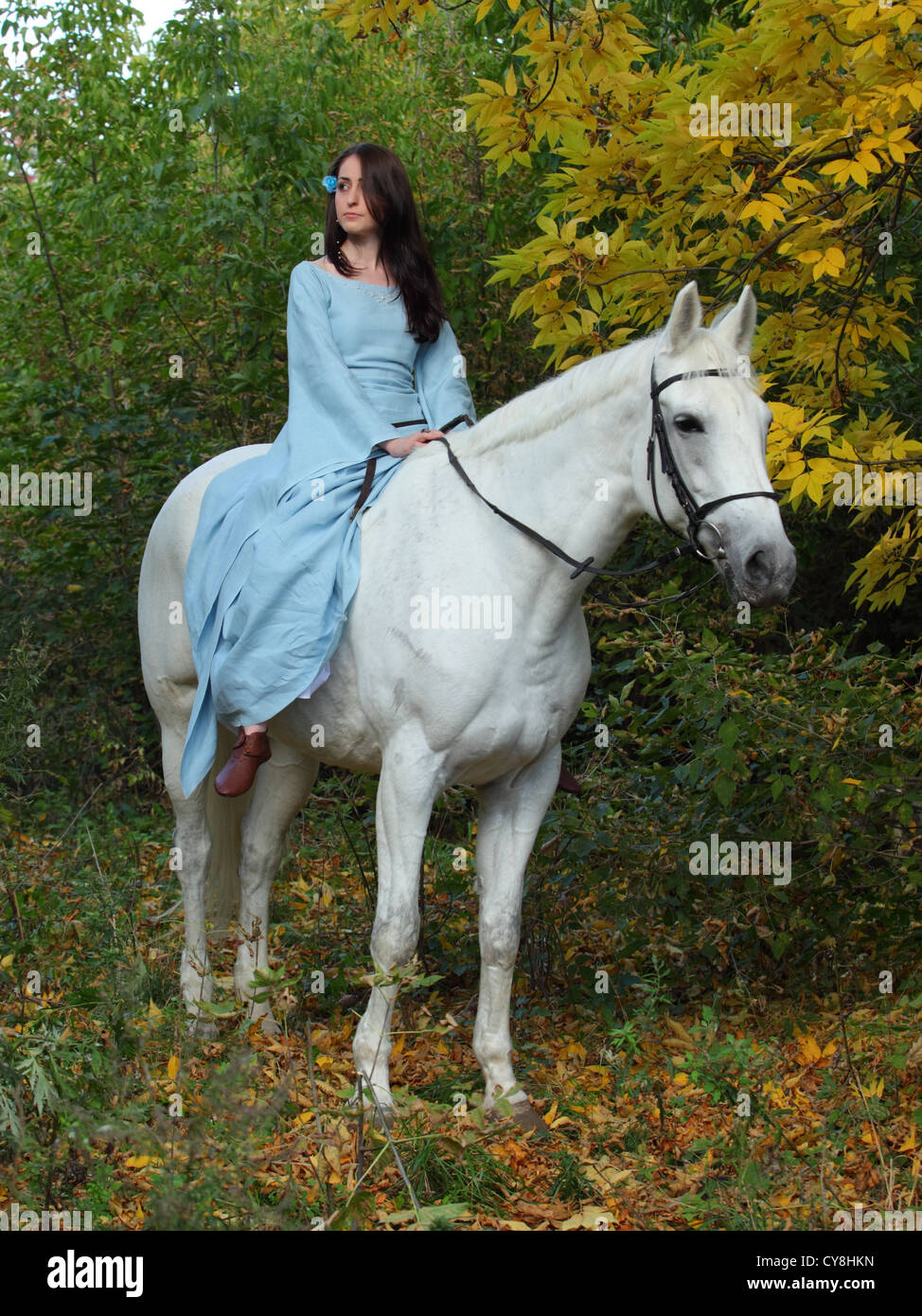 La donna in un bellissimo vecchio stile medievale e abito a cavallo nei boschi di colore giallo Foto Stock