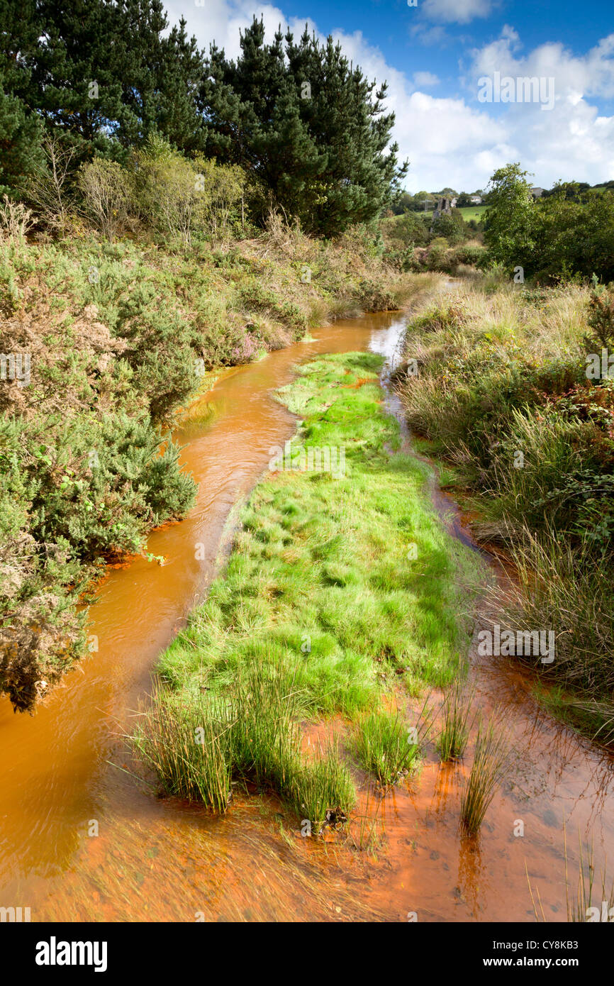 Valle Bissoe; area di ex attività mineraria; flusso; Cornovaglia; Foto Stock