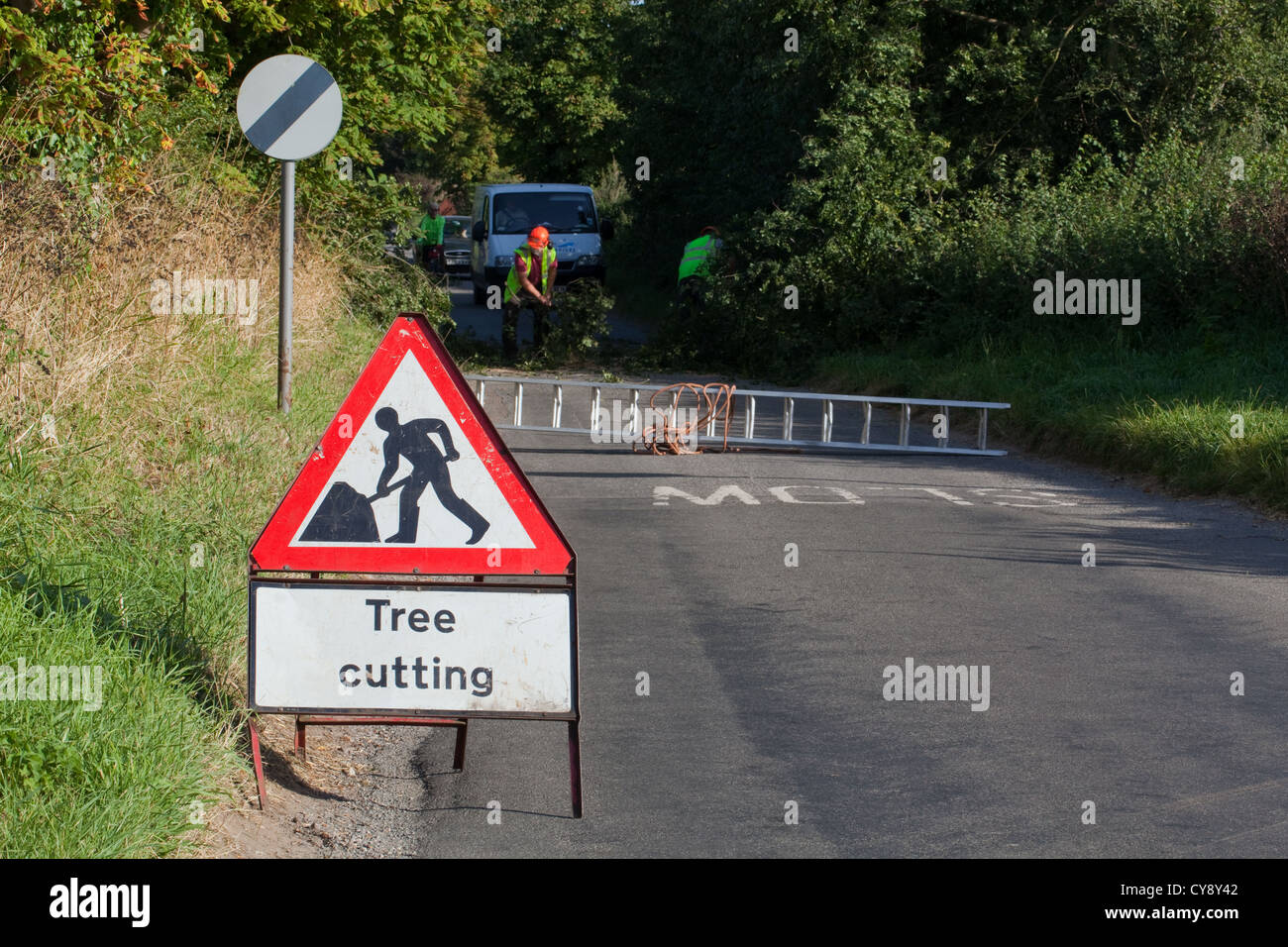 Strada segno di avvertimento; albero di taglio. Cancellazione di emergenza di un albero caduto su una strada rurale. Hickling, Norfolk. Foto Stock