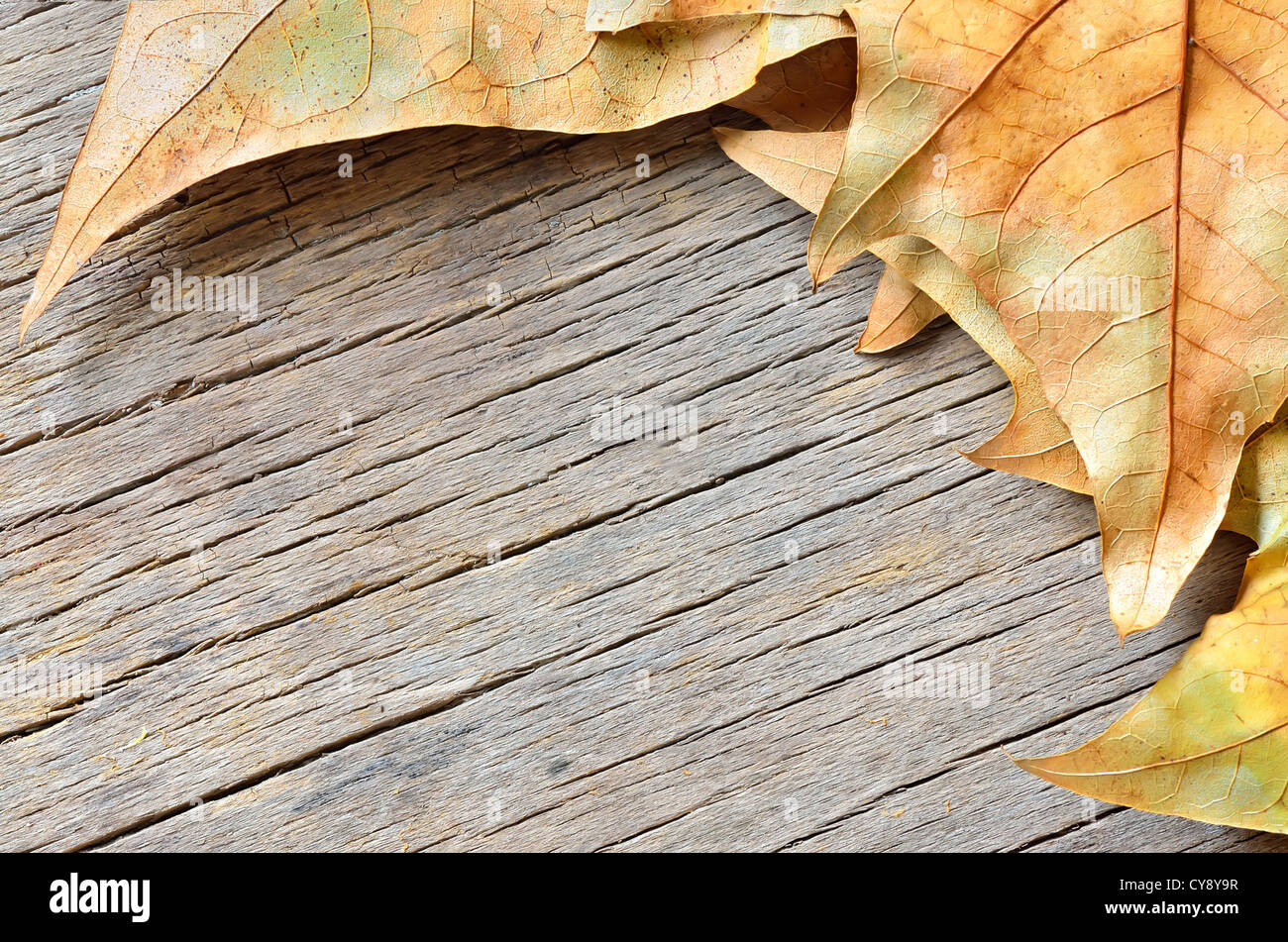 Foglie di autunno su uno sfondo di legno Foto Stock