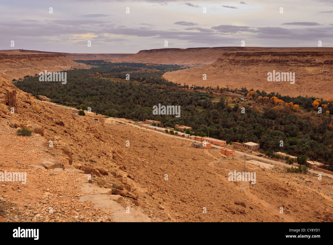 Vista panoramica di una valle fertile e oasi nel deserto saraha, Marocco, Africa Foto Stock